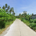 Industrial Lot 24,526 sqm For Sale in Panabo City