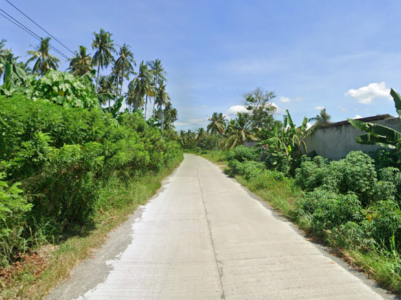 Industrial Lot 24,526 sqm For Sale in Panabo City