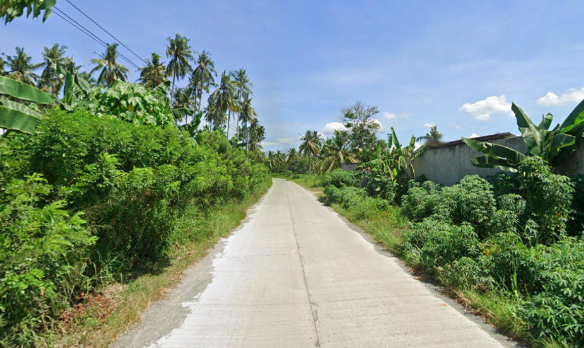 Industrial Lot 24,526 sqm For Sale in Panabo City